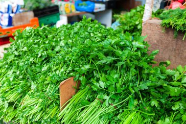 Pazarda tezgahın üstünde taze maydanoz.