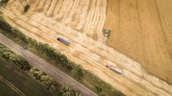 Vista aerea di una combinazione scarica grano dal compartimento grano in un camion. Un camion è andato via e il camion successivo è andato a ricevere cereali di grano. . — Foto Stock