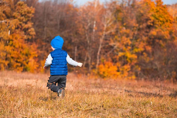 Batole chlapec v modrém klobouku a modré vesty na pozadí jasně oranžového lesa na podzim. — Stock fotografie