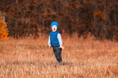 Sonbaharda parlak turuncu ormanın arka planında mavi şapkalı ve mavi yelekli çocuk..