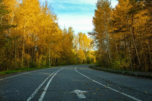 Drum pentru alergat cu nimeni în parcul de toamnă — Fotografie, imagine de stoc