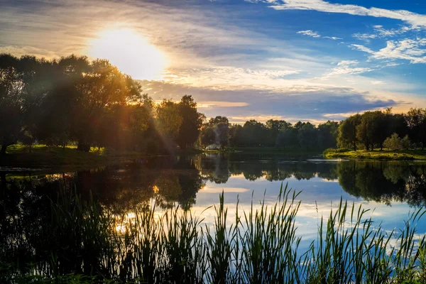 Göl ve çevresinde ağaçlarda Şehir Parkı