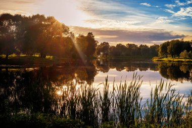 Göl ve çevresinde ağaçlarda Şehir Parkı