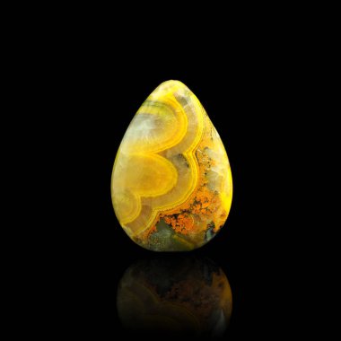 Bumblebee Jasper siyah bir arkaplanda