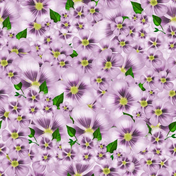 Hermoso patrón floral — Foto de Stock