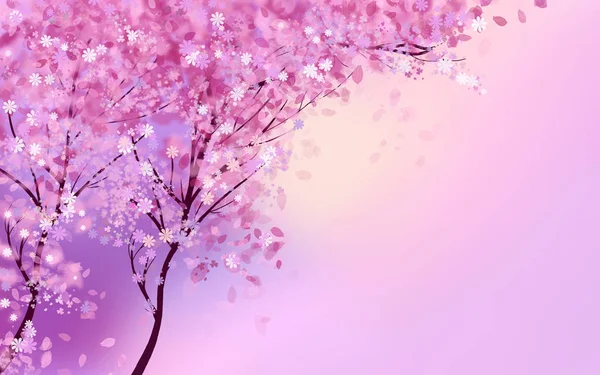 Roze bloesem bomen met bloemen — Stockfoto