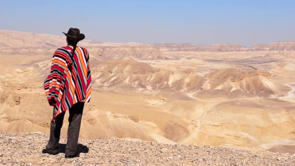 Homme Avec Chapeau Poncho Regarde Autour Lui Dans Désert — Video