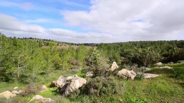 Paisajes Reserva Natural Nacional Adulam Lugar Histórico Bíblico Israel — Vídeos de Stock