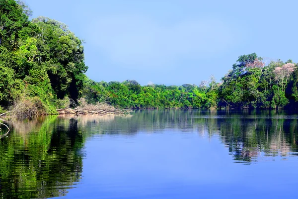 Peru 'nun Selva bölgesinde güzel mavi göl