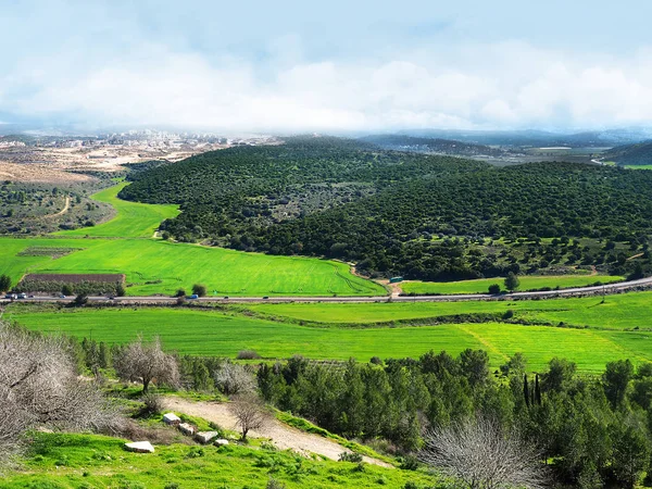イスラエルの冬の緑のフィールドと丘 — ストック写真
