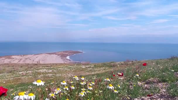 Heavy Rains Shore Dead Sea Covered Red White Yellow Purple — Stock Video