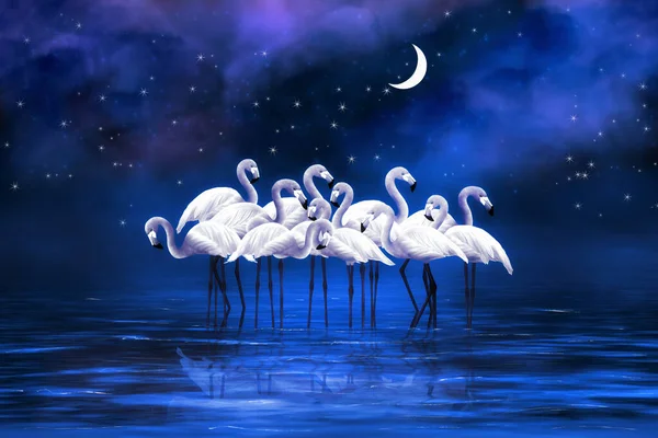 Group Flamingos Stands Lake Moonlight Digital Art Illustration — Stock Photo, Image