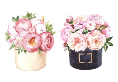Suluboya çiçek kutuları peonies ve gül seti ile