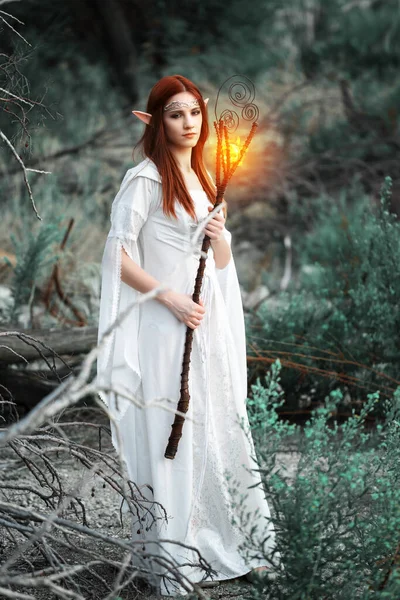 Una Chica Con Orejas Elfo Vestido Blanco Camina Por Bosque Imagen De Stock