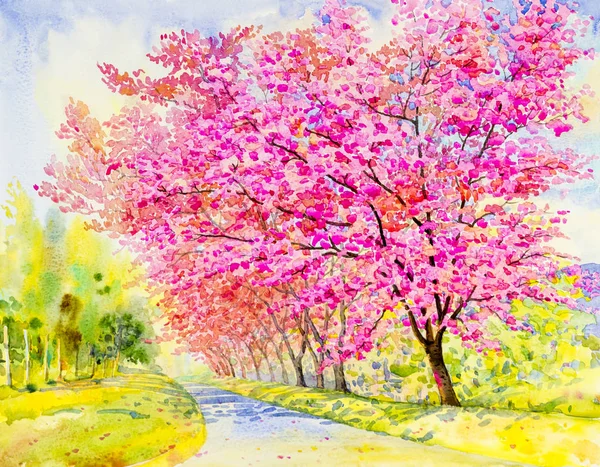 Landschap bloem puple, kleur van wild Himalaya kersen roze — Stockfoto