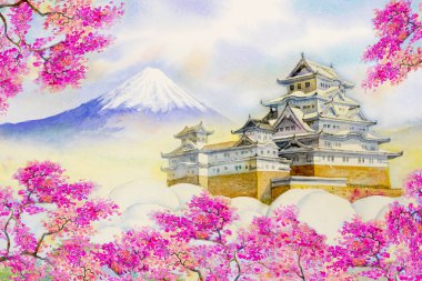 Himeji Kalesi ve tam sakura kiraz çiçeği.