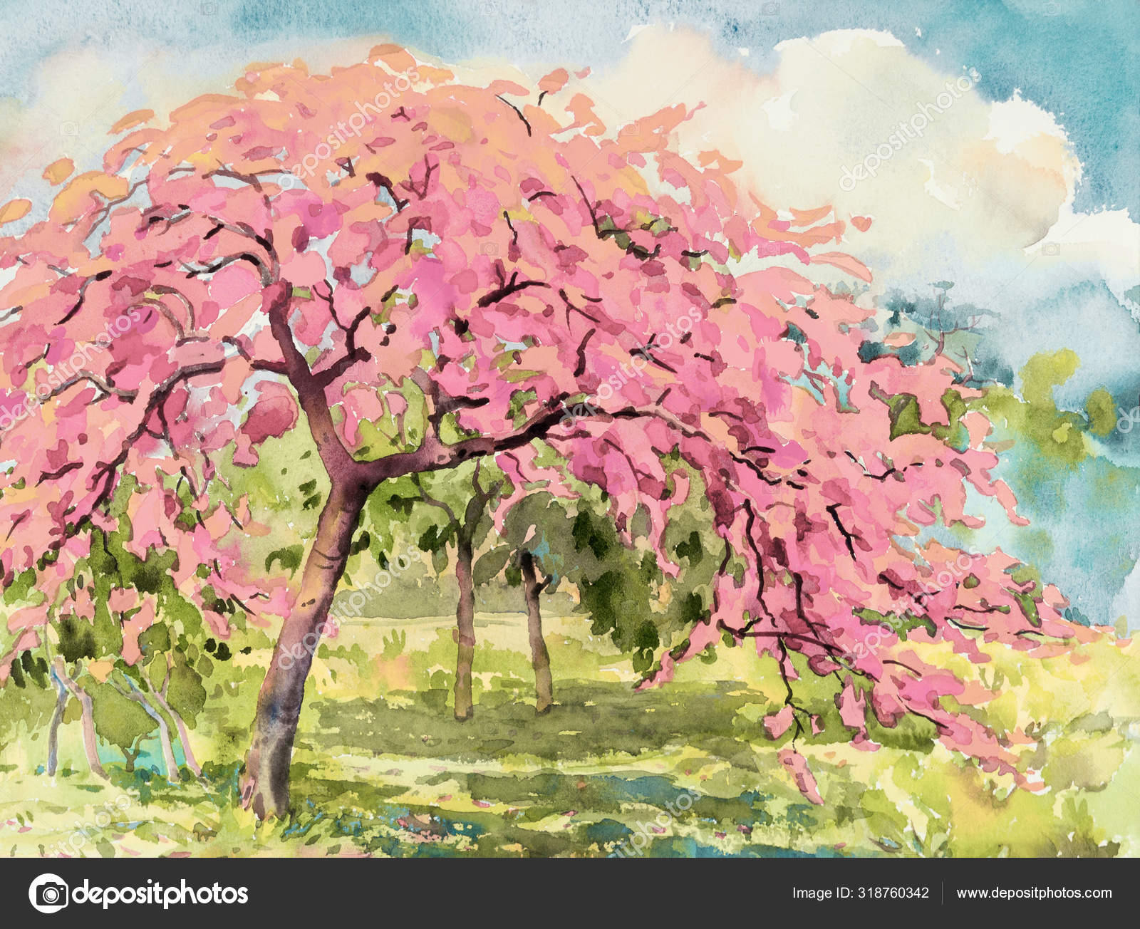 桜と草原の水彩画.— ストックイラストレーション by © paint-mm 桜と草原の水彩画.— ストックイラストレーション by © paint-mm
