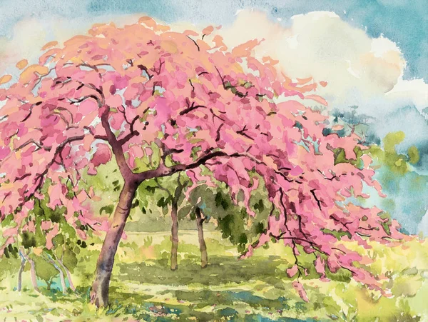 Watercolor landscape of cherry blossom and meadow.