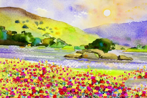 Acuarela Paisaje Pintura Original Colorido Flores Margarita Río Sol Bosque — Foto de Stock