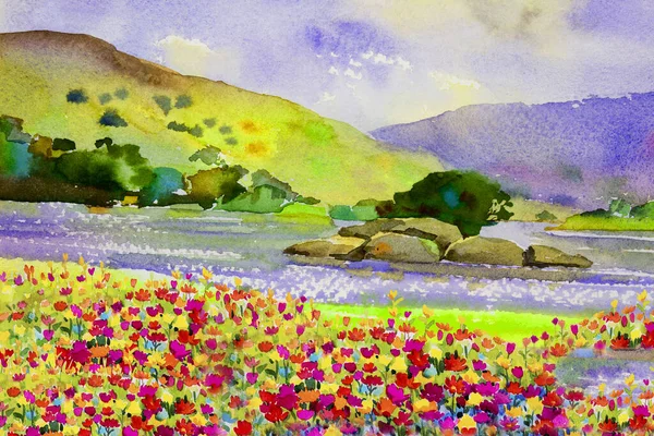 Acuarela Paisaje Pintura Original Colorido Flores Margarita Río Bosque Montaña — Foto de Stock