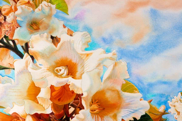 Aquarelle Paysages Peintures Originales Réalistes Colorées Fleurs Trompette Herald Fond — Photo