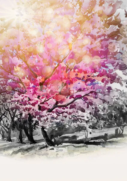 하말라 분홍색 감정의 보케의 배경을 그리고 손으로 추상적 이미지 자연의아름다움 — 스톡 사진
