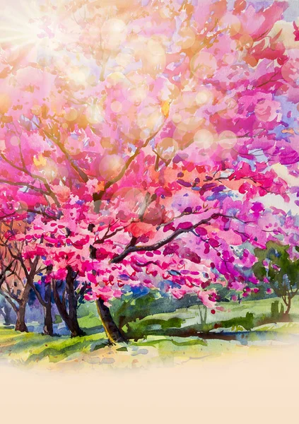 Painting watercolor landscape original pink red color of wild himalayan cherry flower and emotion sunlight, blur bokeh sky background. Hand painted abstract image illustration, nature beauty spring.