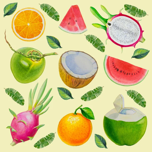 Watercolor Painted Collection Fruits Hand Drawn Fresh Food Design Elements — Stock Photo, Image