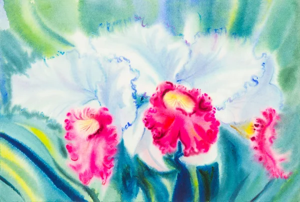 Akvarel Původní Malba Bílá Růžová Barva Orchidej Květiny Zelené Listy — Stock fotografie