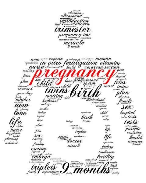 Pregnancy Word Cloud Silhouette Pregnant Woman Italic Font White Background — Stock Vector