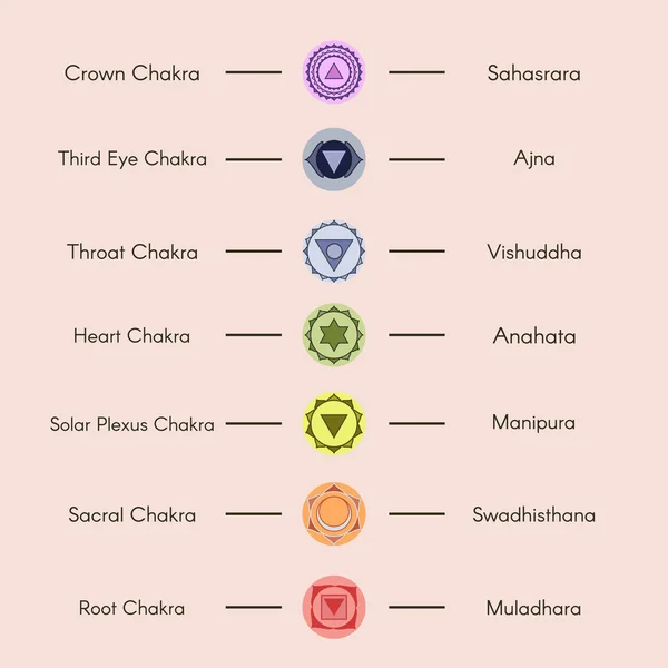 Emplacement des sept principaux chakras du yoga sur le corps humain. — Image vectorielle