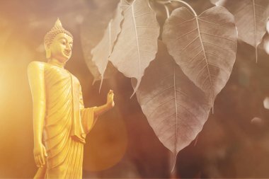 Buddha statue , double exposure bo leaf and len flare with copy space. clipart