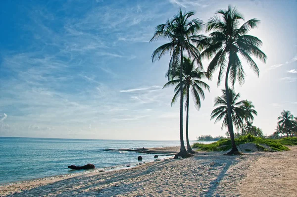 Guanabo en tropisk strand i Kuba Stockfoto