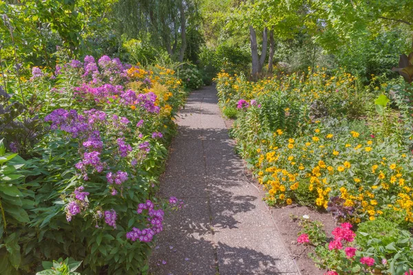 Zahradní Stezka Lemovaná Jasně Růžovými Žlutými Květy Létě — Stock fotografie