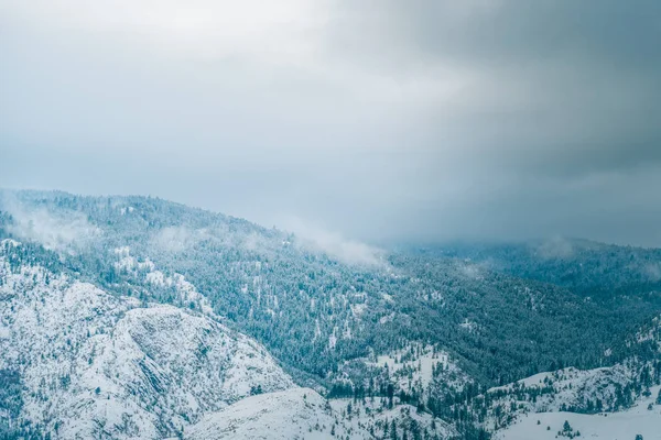 Bewaldete Berge Mit Neuschnee Bedeckt Wolkenverhangener Himmel Und Nebel Monochrom — Stockfoto