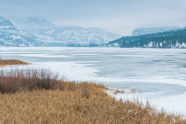 Замерзшее Озеро Васо Зимой Смотрит Через Болото Сторону Скалы Макинтайр — стоковое фото