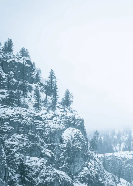 Felswand Und Immergrüne Bäume Schnee Gehüllt Und Von Dichtem Nebel — Stockfoto