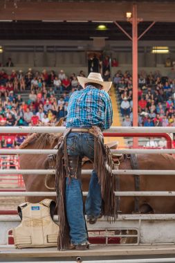 Williams Lake, British Columbia/Kanada - 1 Temmuz 2016: eyer bronc rekabet paraşütler, 90'ıncı Williams Lake izdiham, Kuzey Amerika'nın en büyük korkudan biri arkasından adam izliyor