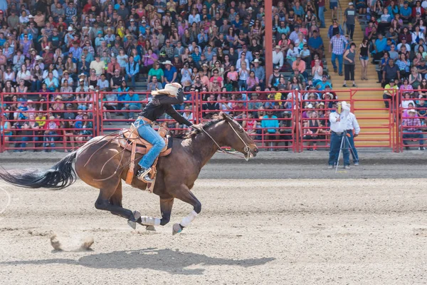 Williams Lake British Columbia Canada July 2016 Horse Rider Race — Stock Photo, Image