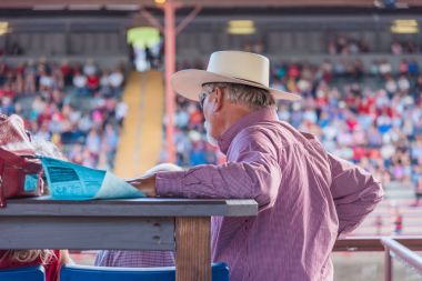 Williams Lake, British Columbia/Kanada - 1 Temmuz 2016: VIP standları erkekte arenada eylem 90 Williams Lake izdiham, Kuzey Amerika'nın en büyük korkudan biri sırasında saatler