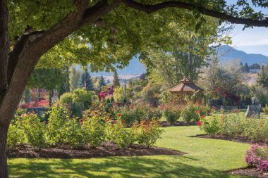 Penticton, British Columbia/Kanada - 12 Ekim 2016: Penticton Gül Bahçesi, şehir merkezinde bulunan ve waterfront yerli halk ve turistler için popüler bir yer.