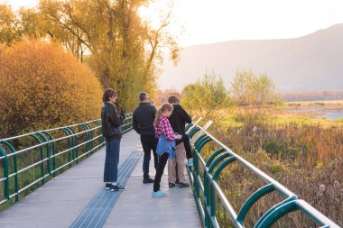 Somon kol, British Columbia/Kanada - 22 Ekim 2016: bir aile görünümü ve somon kol Bay doğa Park, Shuswap Gölü üzerinde önemli bir korumalı habitat yorumsal işaretleri sahiptir.