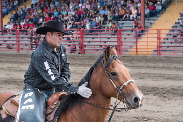 Williams Lake Columbia Británica Canadá Julio 2016 Hombre Acaricia Cuello — Foto de Stock