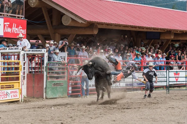 Williams Lake British Columbia Canada Juli 2016 Stier Cowboy Gooit — Stockfoto