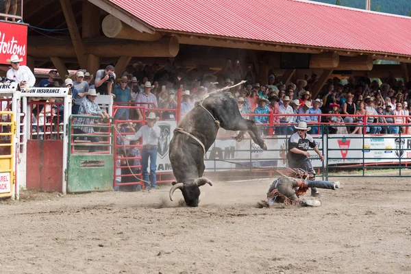 Williams Lake British Columbia Kanada Juli 2016 Cowboy Kastas Till — Stockfoto