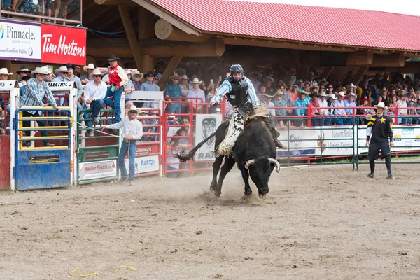 Williams Lake Colúmbia Britânica Canadá Julho 2016 Cowboy Monta Touro — Fotografia de Stock