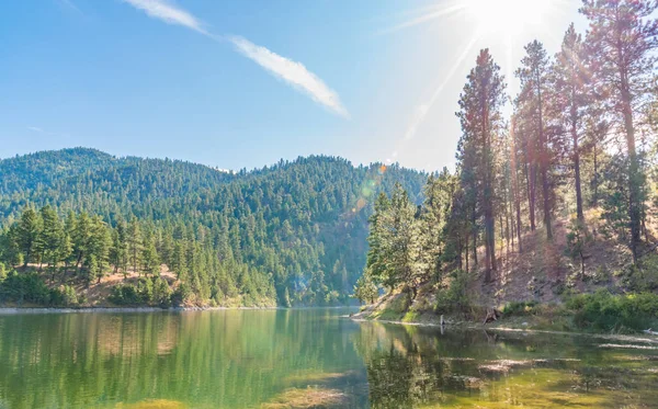 Grün Gefärbter See Umgeben Von Kiefernwald Mit Strahlendem Sonnenschein Und — Stockfoto