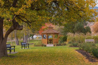 Penticton, British Columbia / Kanada - 25 Ekim 2017: Sonbahar Penticton gül bahçesinde çardak. Okanagan Gölü şehir merkezinde yer alan bu Bahçe turistler ve yerliler ile popüler.