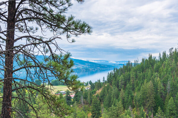 View of Okanagan Lake and forest from viewing platform above Fintry Falls