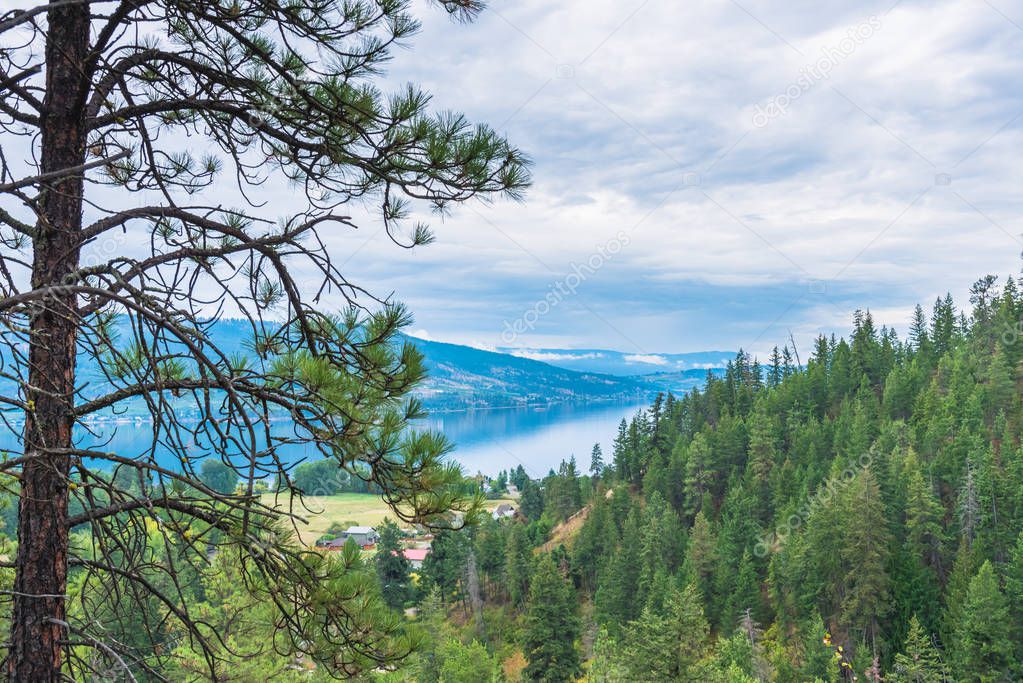 View of Okanagan Lake and forest from viewing platform above Fintry Falls